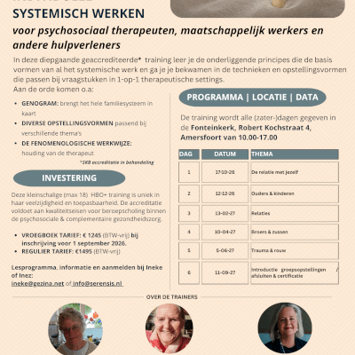 Individueel Systemisch Werken Individueel Systemisch Werken